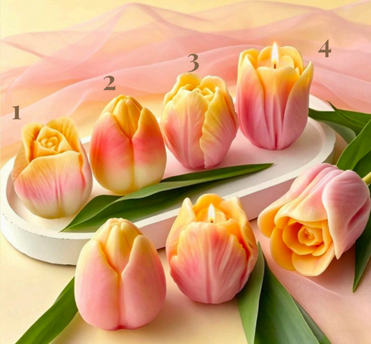 Molde Tulipan